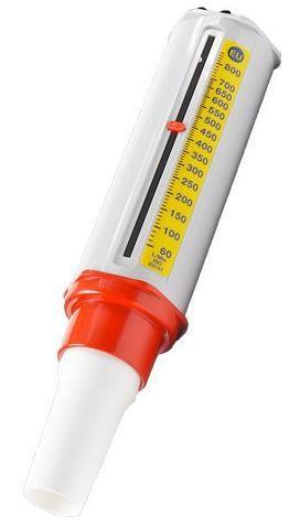 Measurement of Lung Capacity