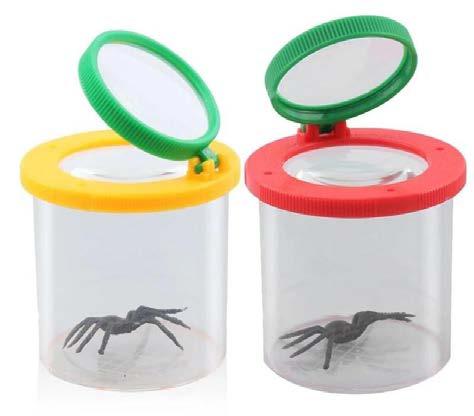 Magnifier Graduated in Centimeters for Insects