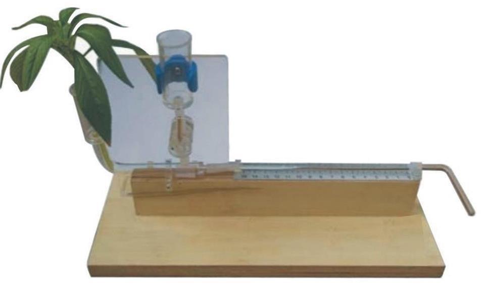 Kit for the Demonstration of Plant Transpiration