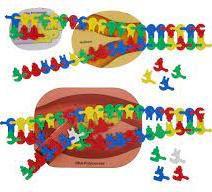 Simplified Nucleotide Models for Students.